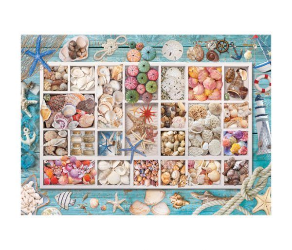 puzzle Seashell Collection